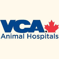 Logo of VCA Animal Hospitals with a red maple leaf on a black background
