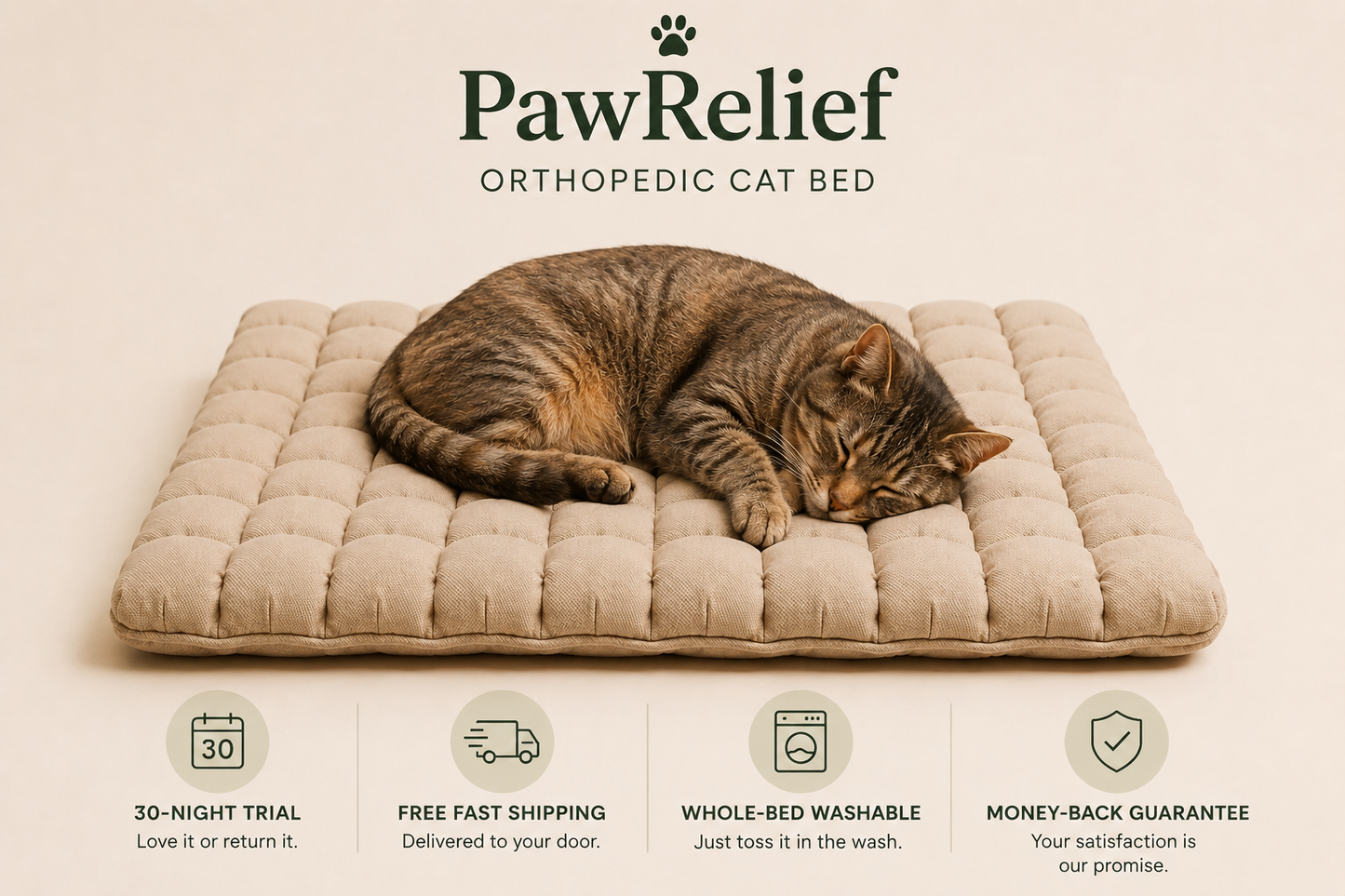 PawRelief Orthopedic Cat Bed