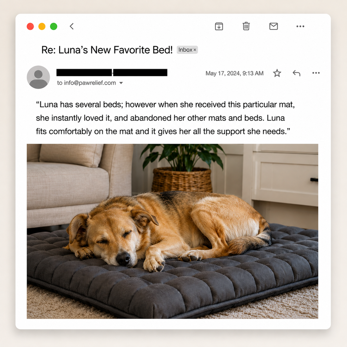 PawRelief Orthopedic Dog Bed