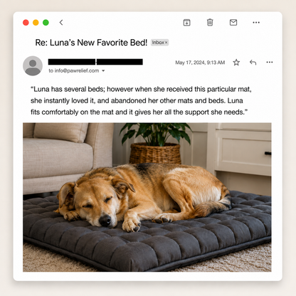 PawRelief Orthopedic Dog Bed