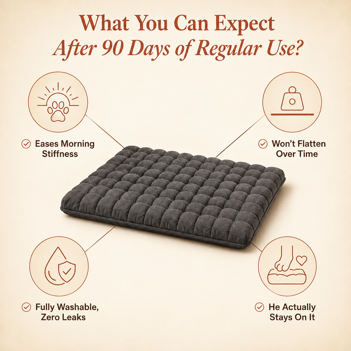 PawRelief Orthopedic Dog Bed