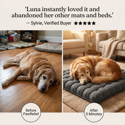 PawRelief Orthopedic Dog Bed