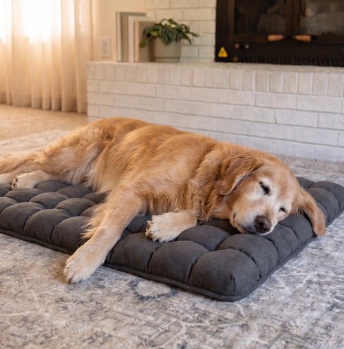 PawRelief Orthopedic Dog Bed providing joint support for dogs with arthritis.