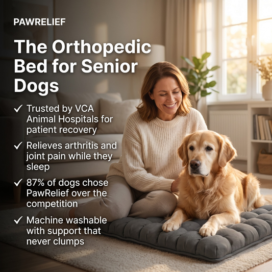 PawRelief Orthopedic Dog Bed